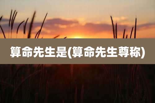 算命先生是(算命先生尊称)