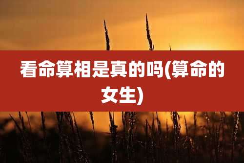 看命算相是真的吗(算命的女生)