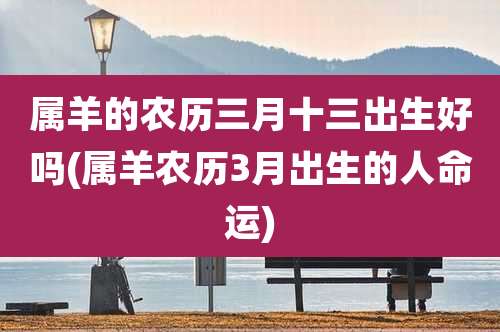 属羊的农历三月十三出生好吗(属羊农历3月出生的人命运)