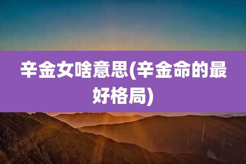 辛金女啥意思(辛金命的最好格局)