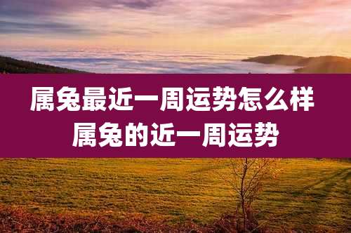 属兔最近一周运势怎么样 属兔的近一周运势