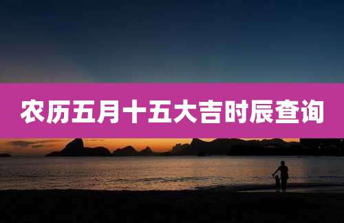农历五月十五大吉时辰查询