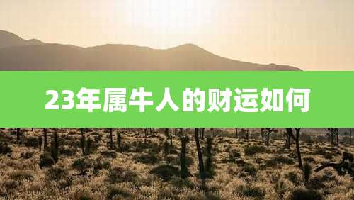 23年属牛人的财运如何