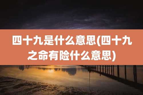 四十九是什么意思(四十九之命有险什么意思)