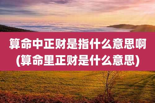 算命中正财是指什么意思啊(算命里正财是什么意思)