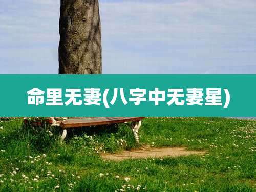 命里无妻(八字中无妻星)