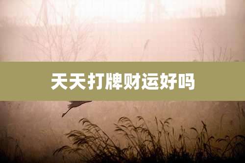 天天打牌财运好吗