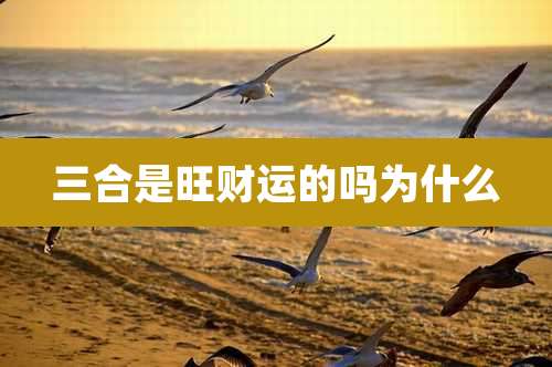 三合是旺财运的吗为什么