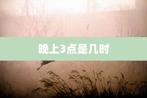 晚上3点是几时