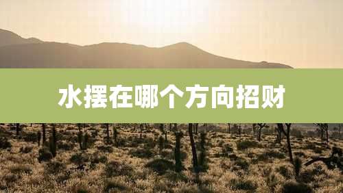 水摆在哪个方向招财