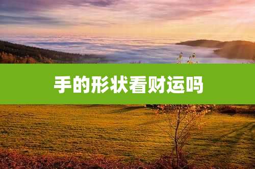 手的形状看财运吗