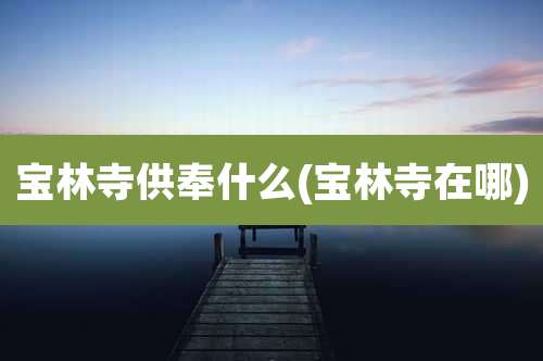 宝林寺供奉什么(宝林寺在哪)