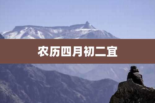 农历四月初二宜