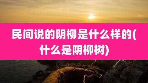 民间说的阴柳是什么样的(什么是阴柳树)