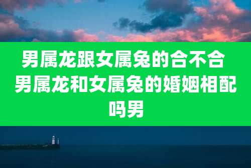 男属龙跟女属兔的合不合 男属龙和女属兔的婚姻相配吗男