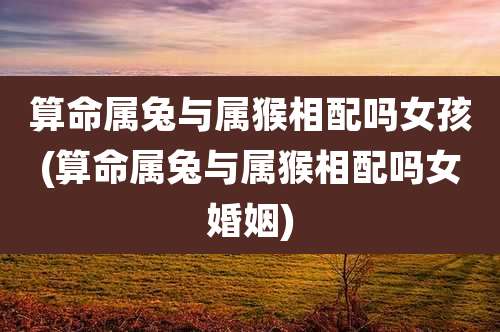 算命属兔与属猴相配吗女孩(算命属兔与属猴相配吗女婚姻)