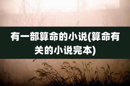 有一部算命的小说(算命有关的小说完本)