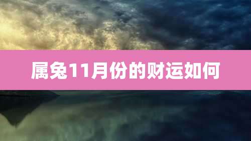 属兔11月份的财运如何