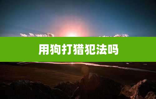 用狗打猎犯法吗