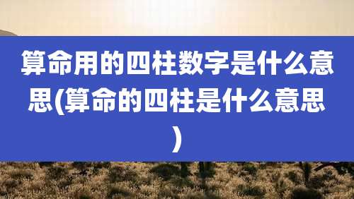 算命用的四柱数字是什么意思(算命的四柱是什么意思)