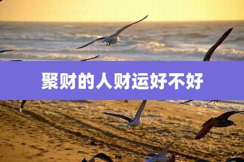 聚财的人财运好不好