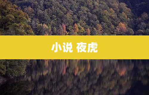 小说 夜虎