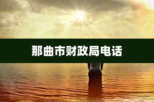 那曲市财政局电话