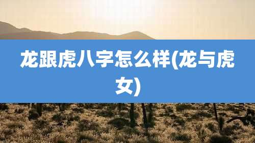 龙跟虎八字怎么样(龙与虎女)