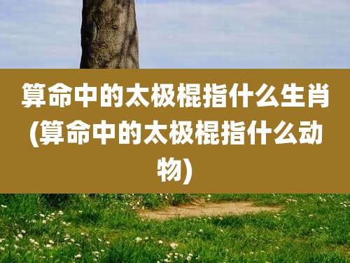 算命中的太极棍指什么生肖(算命中的太极棍指什么动物)