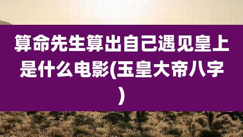 算命先生算出自己遇见皇上是什么电影(玉皇大帝八字)