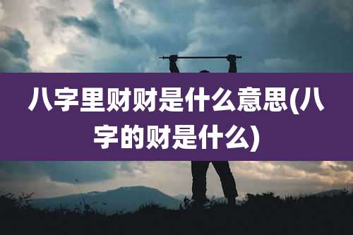 八字里财财是什么意思(八字的财是什么)