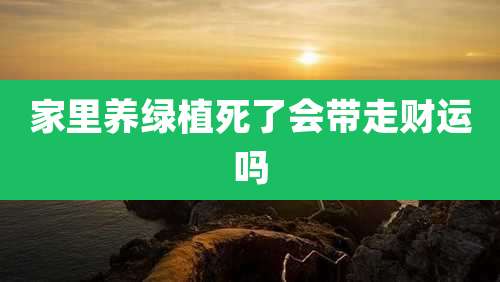 家里养绿植死了会带走财运吗