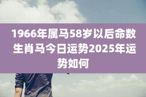 1966年属马58岁以后命数 生肖马今日运势2025年运势如何