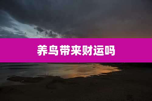 养鸟带来财运吗