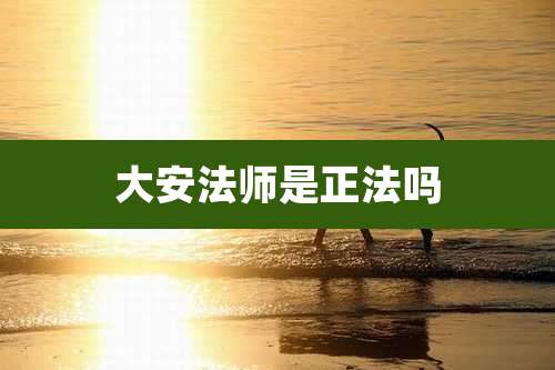 大安法师是正法吗