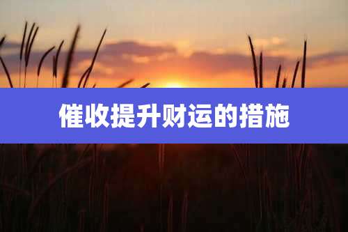 催收提升财运的措施
