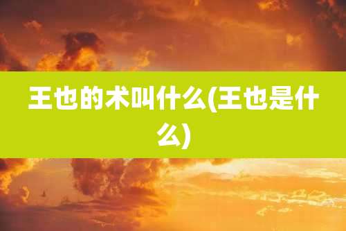 王也的术叫什么(王也是什么)