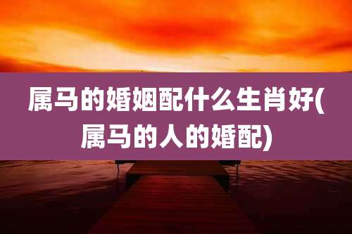 属马的婚姻配什么生肖好(属马的人的婚配)