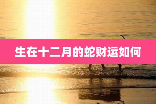 生在十二月的蛇财运如何