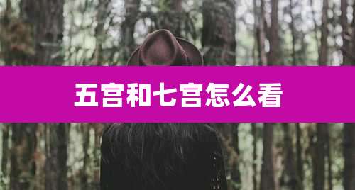 五宫和七宫怎么看