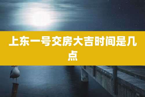 上东一号交房大吉时间是几点