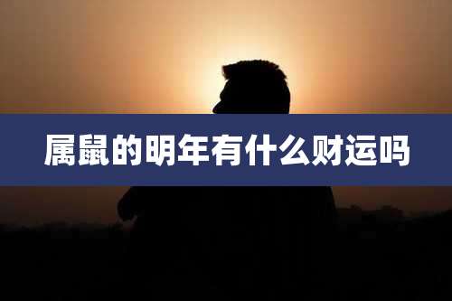 属鼠的明年有什么财运吗