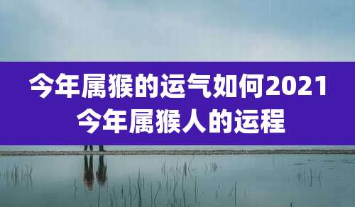 今年属猴的运气如何2021 今年属猴人的运程