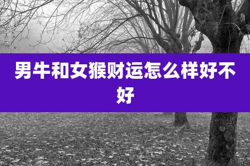 男牛和女猴财运怎么样好不好