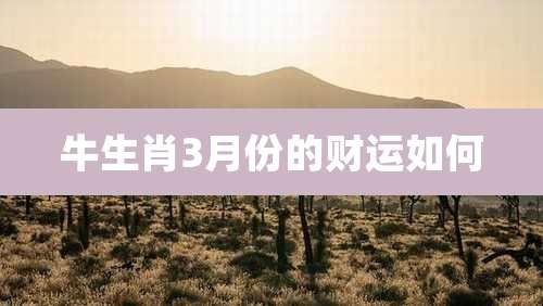 牛生肖3月份的财运如何