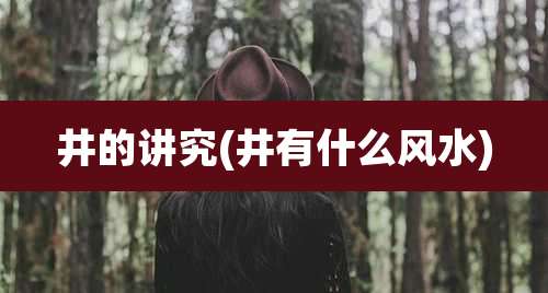 井的讲究(井有什么风水)