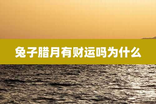 兔子腊月有财运吗为什么