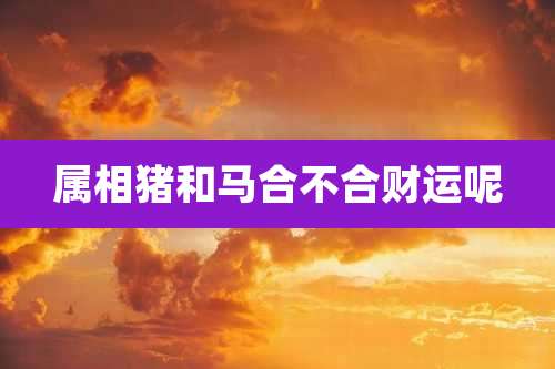 属相猪和马合不合财运呢