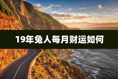 19年兔人每月财运如何