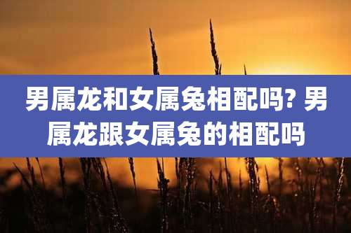 男属龙和女属兔相配吗? 男属龙跟女属兔的相配吗